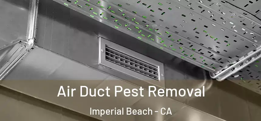  Air Duct Pest Removal Imperial Beach - CA