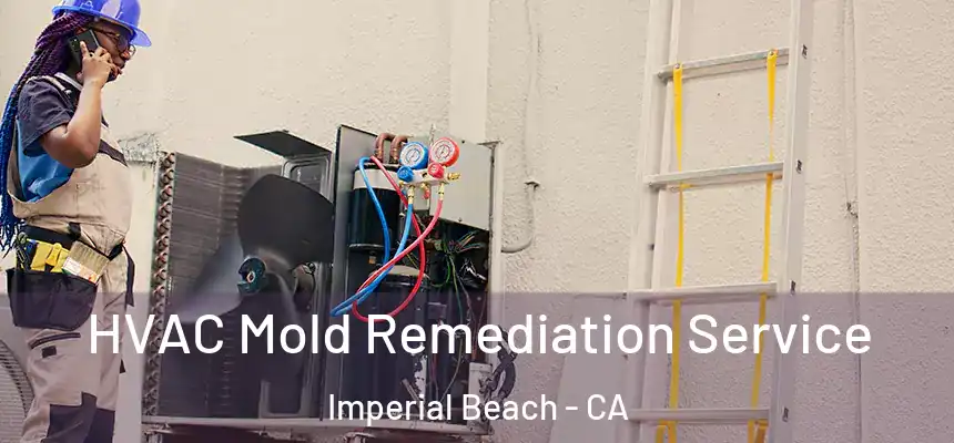  HVAC Mold Remediation Service Imperial Beach - CA