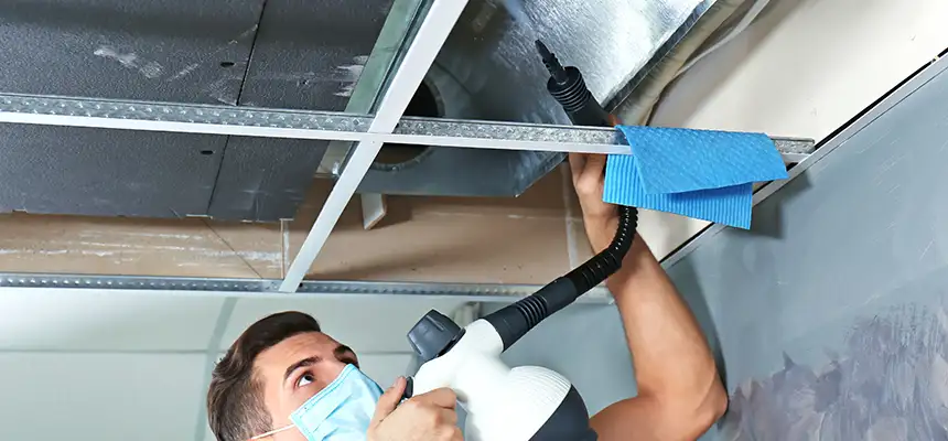 Our Air Duct Rodent Removal Services in Imperial Beach, CA