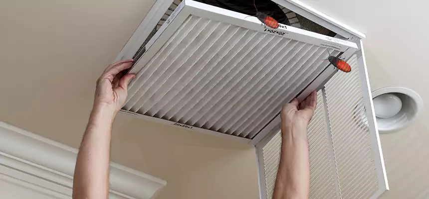 Our Insect Removal from Air Ducts Services in Imperial Beach, CA