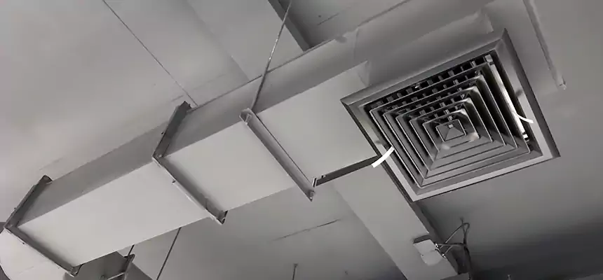 Our Pest Removal From Ducts Services in Imperial Beach, CA