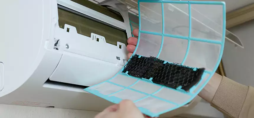 Gentle Ductwork Odor-Control Pet Dander Duct Cleaning in Imperial Beach, CA