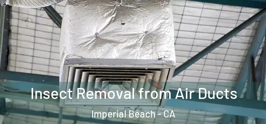  Insect Removal from Air Ducts Imperial Beach - CA