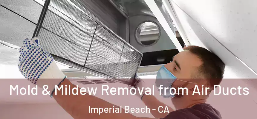 Mold & Mildew Removal from Air Ducts Imperial Beach - CA