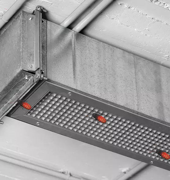 Affordable Insect Removal from Air Ducts in Imperial Beach, CA