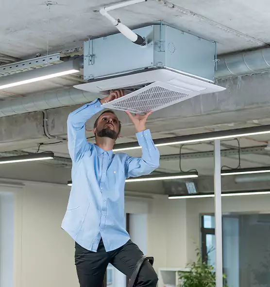 Advanced Rodent Droppings In Vents in Imperial Beach, CA