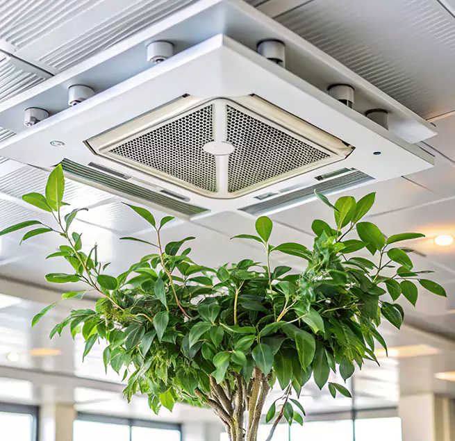 Why Homeowners & Businesses Trust Us in Imperial Beach, CA